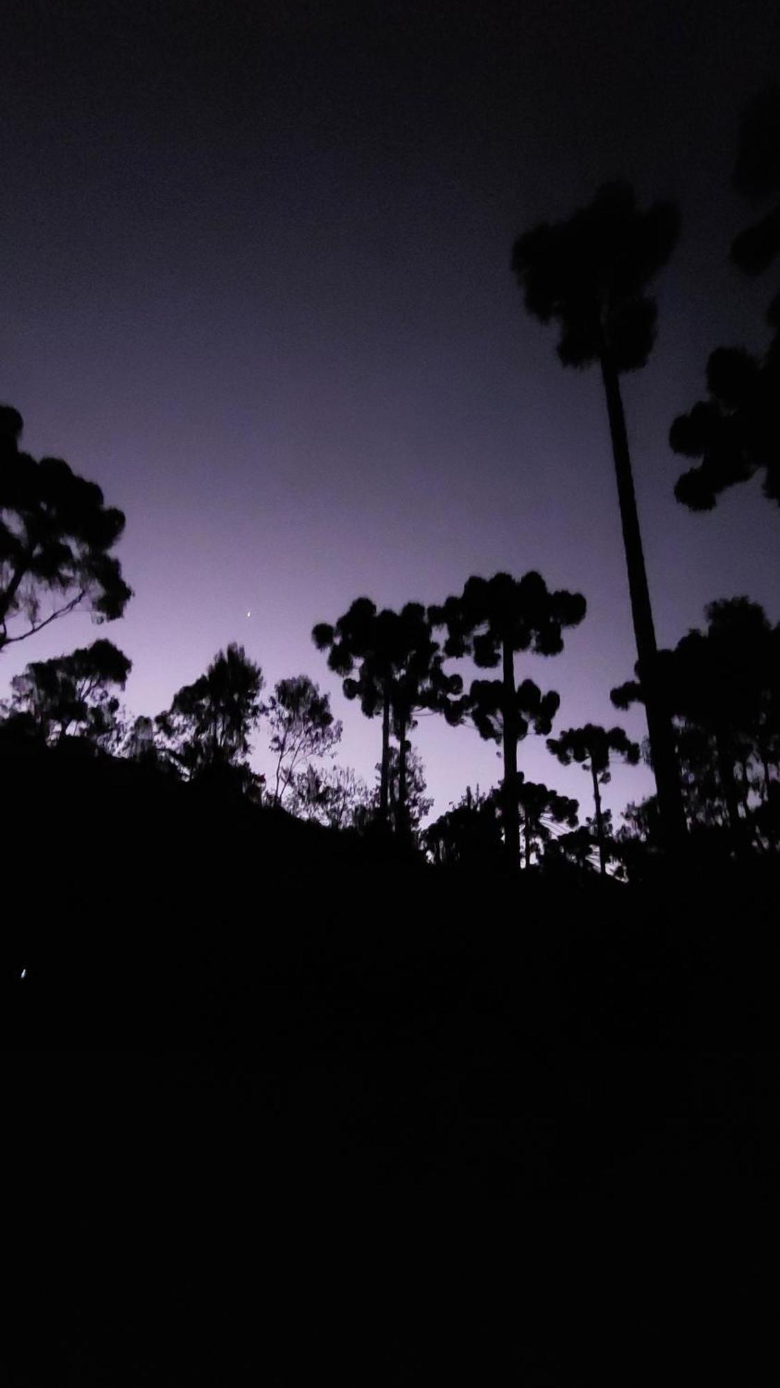 Chales Fora De Estrada Campos do Jordão Exterior foto